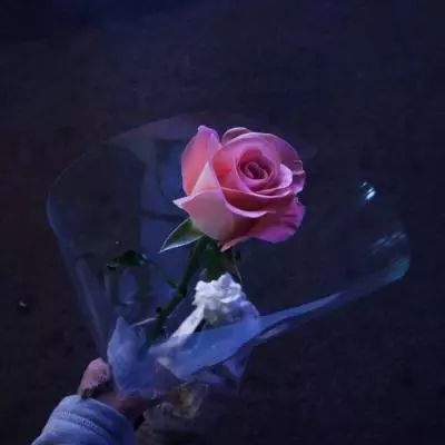苍翼之刃腾讯服下载