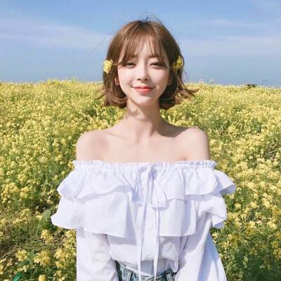 数码兽bt进化手游下载